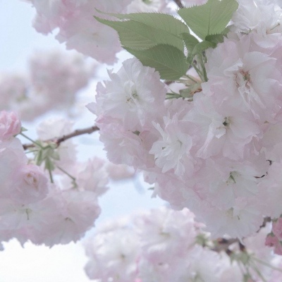 兽设城市场景创作FurryQQ群